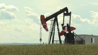 Oil pump jack in wheat field 1