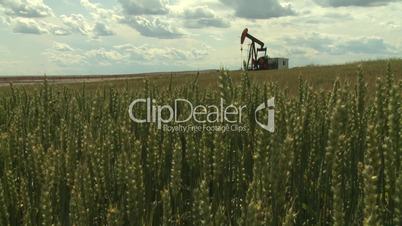 Oil pump jack in wheat field 9