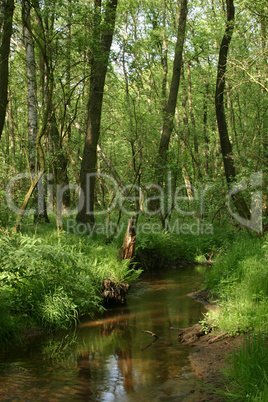 Waldbach