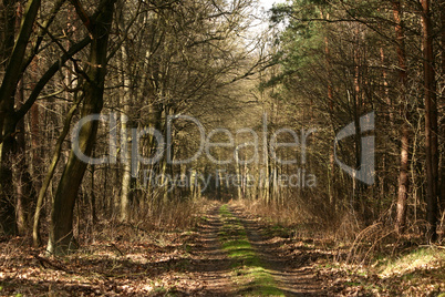 Wanderweg