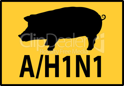 H1N1 Schweinegrippe Warnung