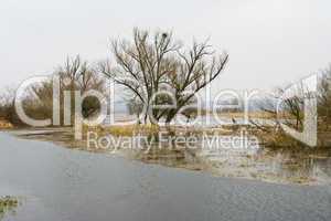 Hochwasser, flood