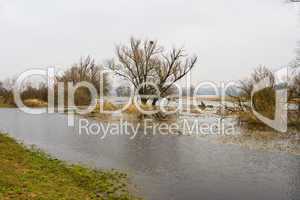 Hochwasser, flood