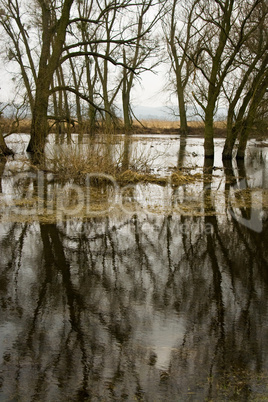 Hochwasser, flood