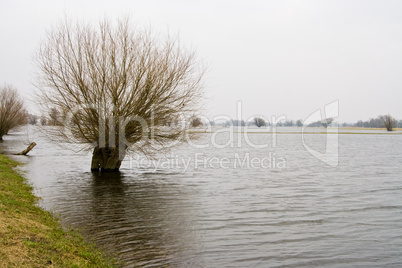 Hochwasser, flood
