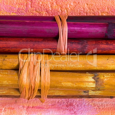 farbiger Bambus