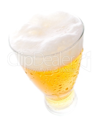 Beer on tall glass
