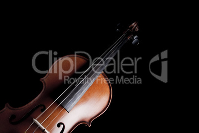 Violin