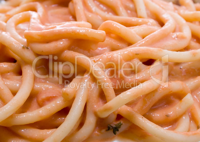 Close up of Spaghetti