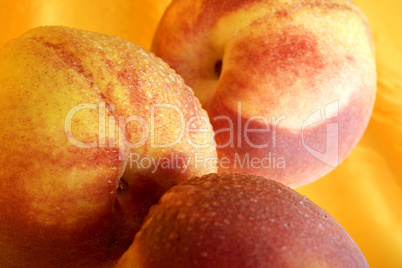 Luscious Peaches