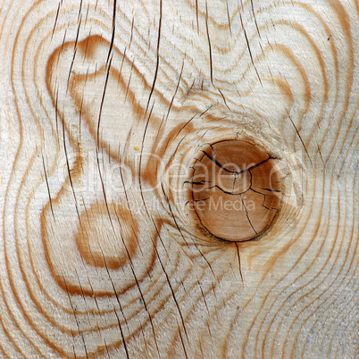 Detailansicht eines Holzhintergrundes