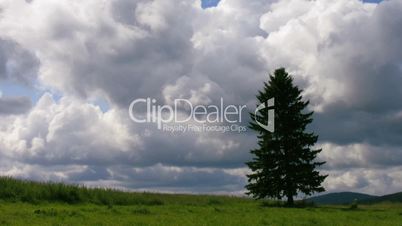 timelapse field tree clouds