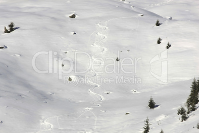 Skispuren im Pulverschnee