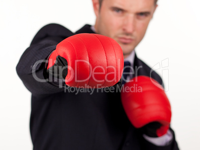 businessman with boxing gloves