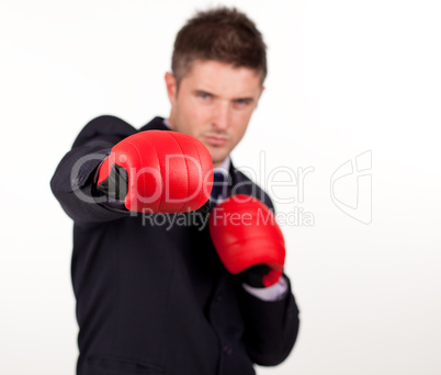 businessman with boxing gloves