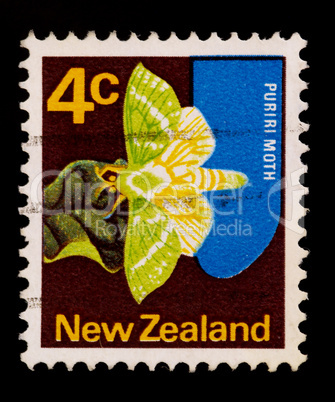 puriri moth stamp