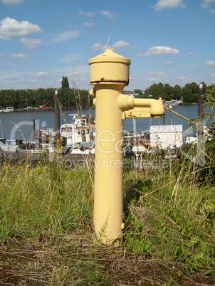 gelber Hydrant