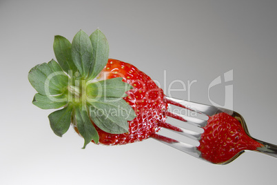 Erdbeere auf einer Gabel