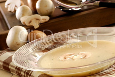 Champignionsuppe