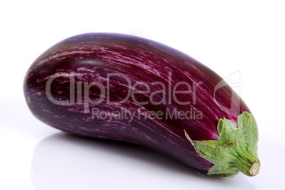 Aubergine gestreift