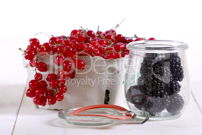 Johannisbeeren und Brombeeren