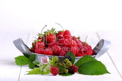 Himbeeren, Erdbeeren mit Brombeerblüten