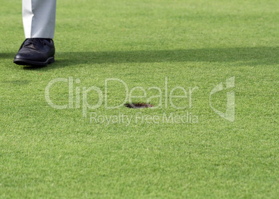 Golfspieler auf dem Green