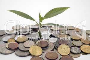 Financial growth.Conceptual image.