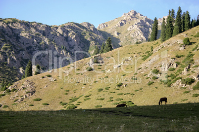 Mountains