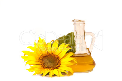 Sunflowers and oil
