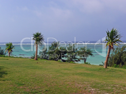 Strand mit Palmen