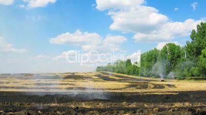 Burning stubble field. time lapse