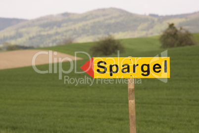 Spargel