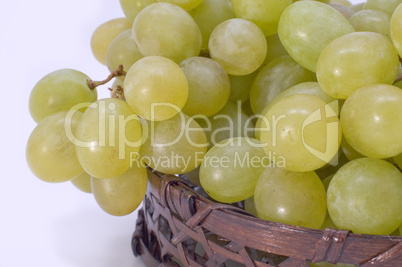 Green grapes in basket.