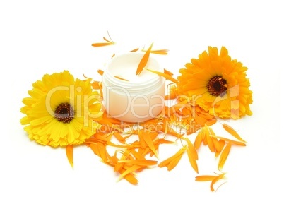 Hand-made beauty cream with flowers (calendula)
