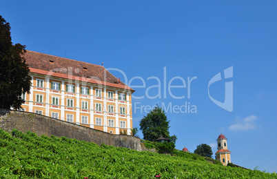 Weinberg am Schloss Stainz, Steiermark, Österreich