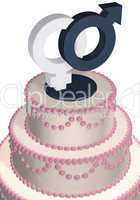 wedding cake male female