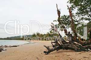 Strand bei Khao Lak