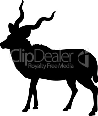 Kudu