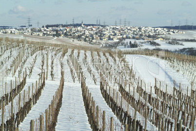 Weinberg,weinbaulandschaft,Reblandschaft,Weinbau,Winter,Schnee,kaelte,