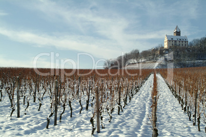 Weinberge im Winter mit Burg Stockheim,