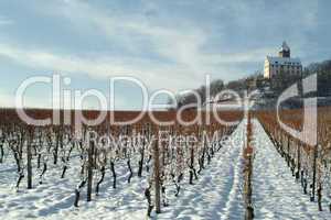 Weinberge im Winter mit Burg Stockheim,