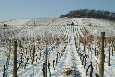 Weinberg,Weinbaulandschaft,Reblandschaft,Weinbau,Winter,Schnee,Kaelte,Heilbronn,Wartberg,.