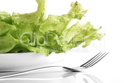 grüner Salatteller