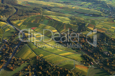 Weinberg,weinbaulandschaft,Reblandschaft,Weinbau,Luftaufnahmen