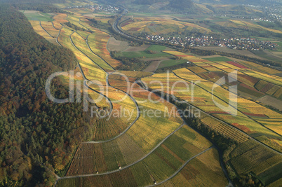 Weinberg,weinbaulandschaft,Reblandschaft,Weinbau,Luftaufnahmen