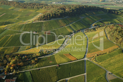 Weinberg,weinbaulandschaft,Reblandschaft,Weinbau,Luftaufnahmen