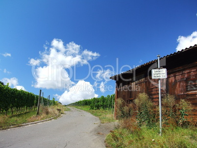 Weg in die Weinberge