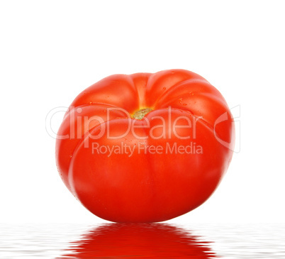 tomato