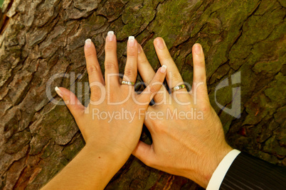 Brautpaar Hand in Hand